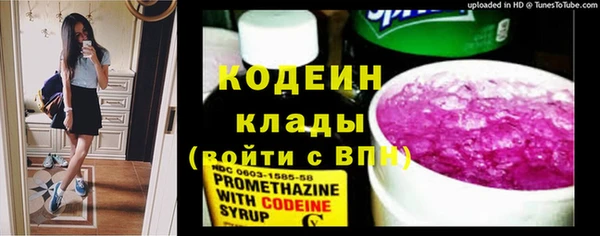 ПСИЛОЦИБИНОВЫЕ ГРИБЫ Гусь-Хрустальный