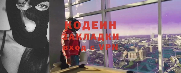 тгк Гусев