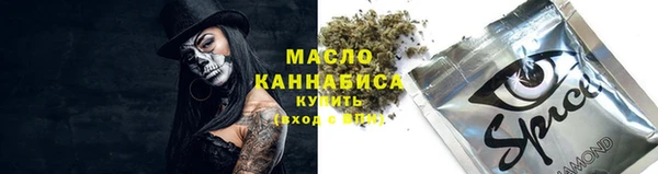ПСИЛОЦИБИНОВЫЕ ГРИБЫ Гусь-Хрустальный