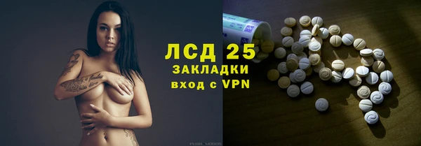 ПСИЛОЦИБИНОВЫЕ ГРИБЫ Гусь-Хрустальный