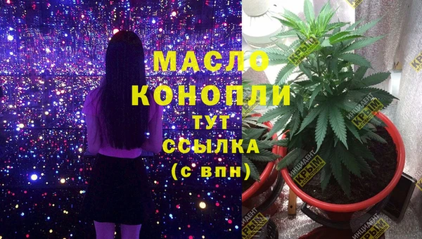 тгк Гусев