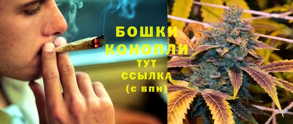 тгк Гусев