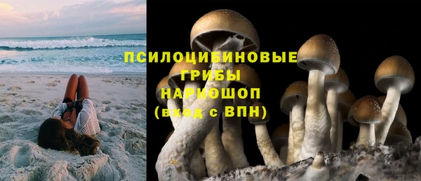 тгк Гусев