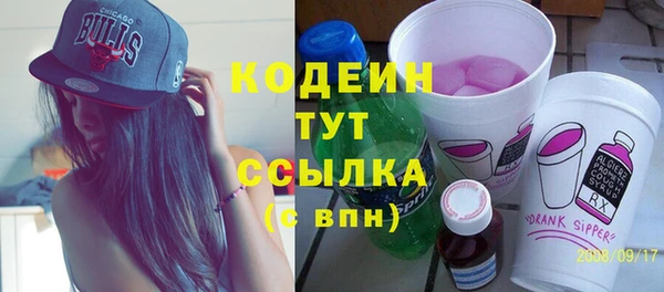 ПСИЛОЦИБИНОВЫЕ ГРИБЫ Гусь-Хрустальный