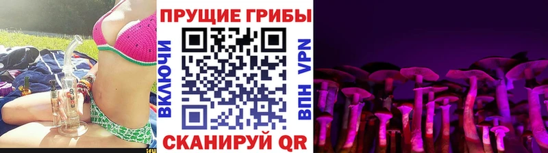 ссылка на мегу ССЫЛКА Емва Галлюциногенные грибы Psilocybine cubensis